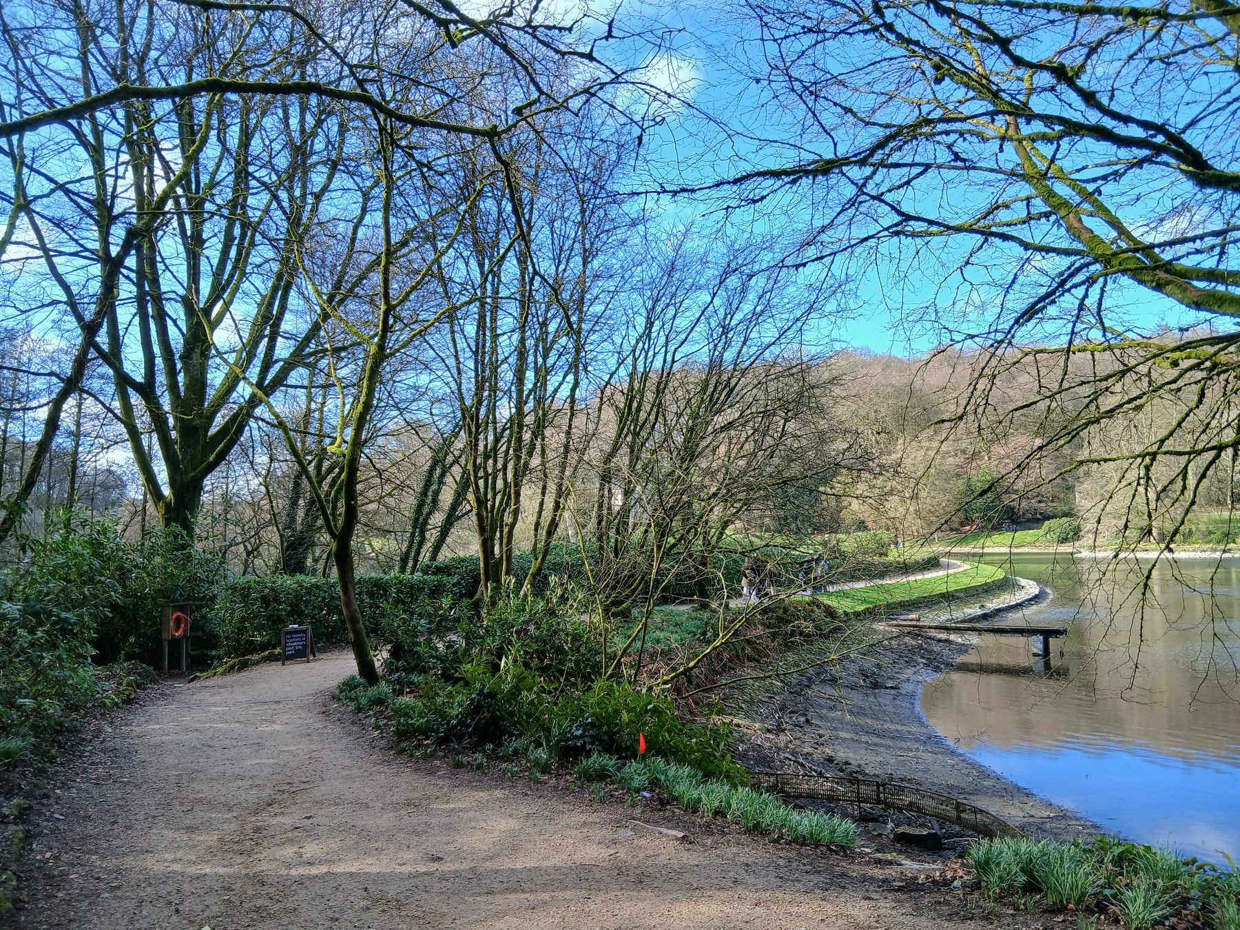 Stourhead 园路在林下沿湖岸延伸，树枝构成上方前景。